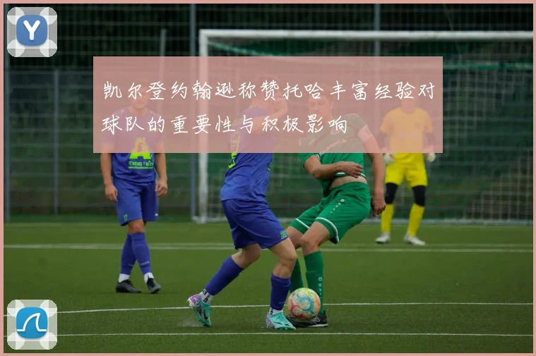 凯尔登约翰逊称赞托哈丰富经验对球队的重要性与积极影响