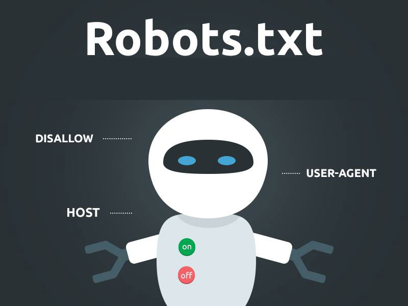 Ce este fisierul robots.txt?